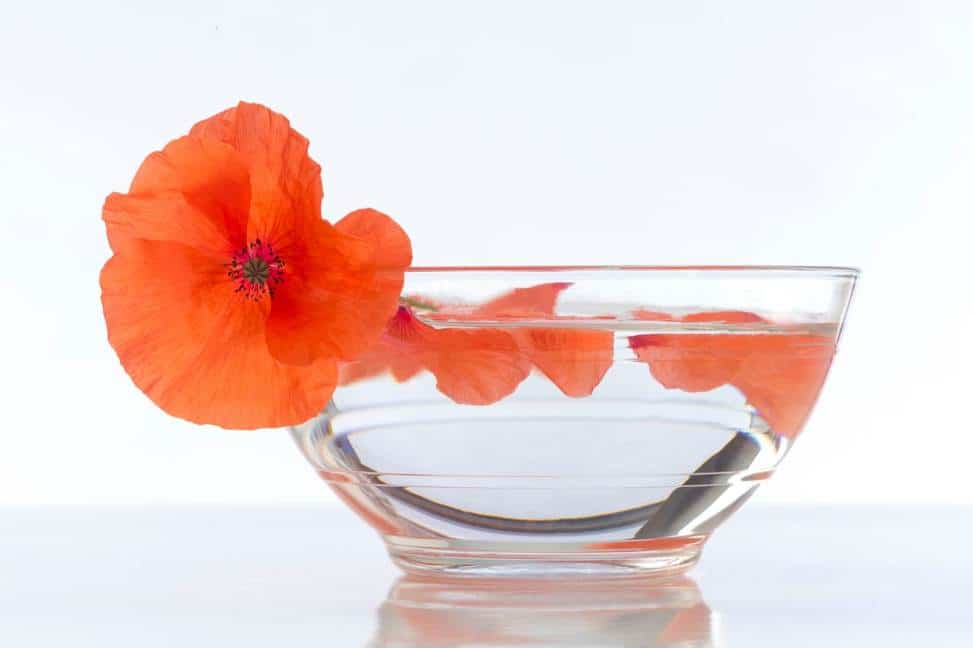 flor de