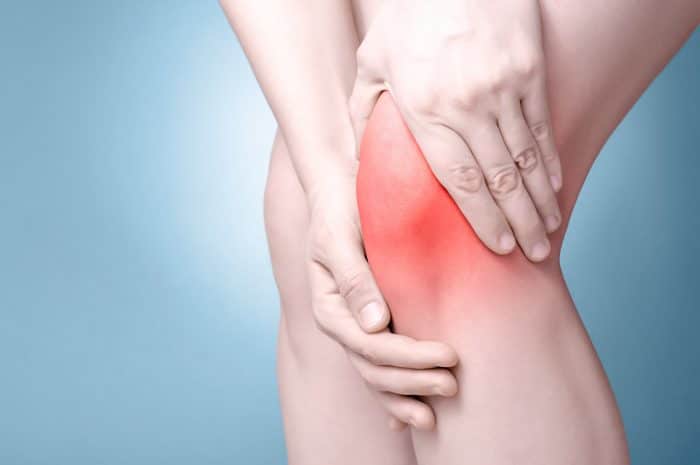 kalanchoe blossfeldiana