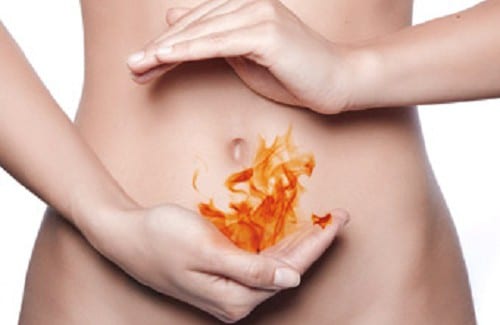 kalanchoe blossfeldiana