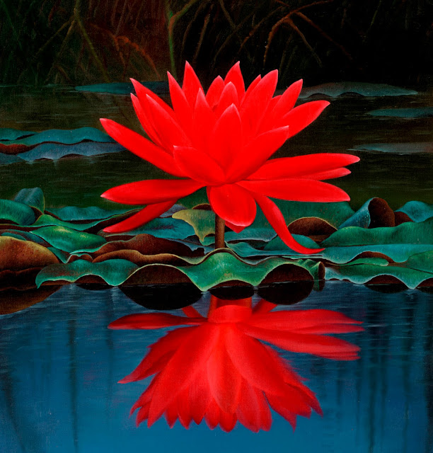 significado de la flor de loto roja