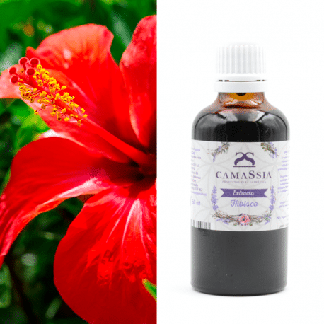 hibiscus rosa-sinensis