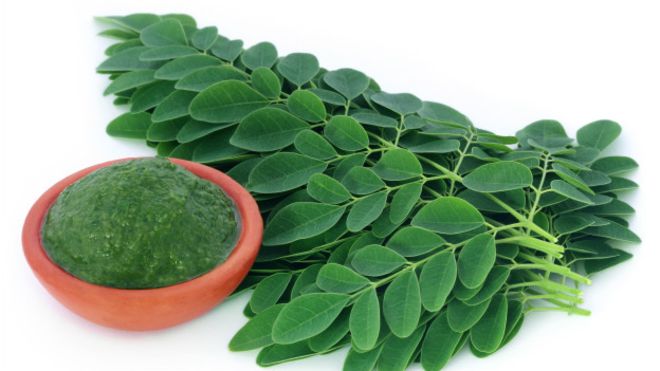 para que sirve la moringa