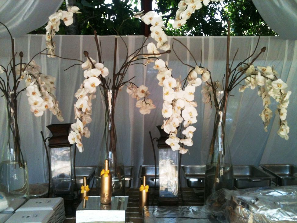 significado de las orquídeas