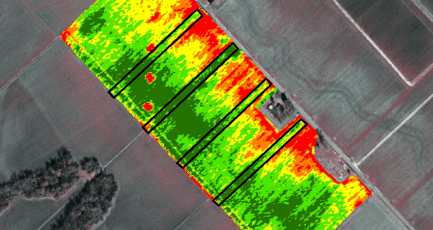 NDVI