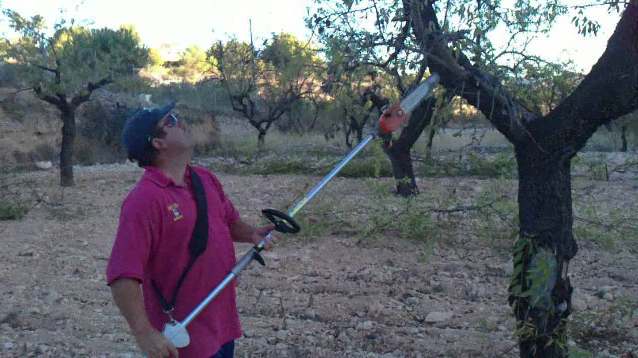 poda del almendro