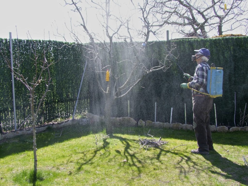 Cuándo fumigar los árboles frutales